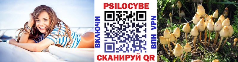 что такое наркотик  Подпорожье  Псилоцибиновые грибы ЛСД 